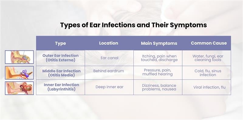 Table outlining Ear Infection Symptoms: Types (Otitis Externa, Otitis Media, Labyrinthitis), Location, Symptoms, and Causes.